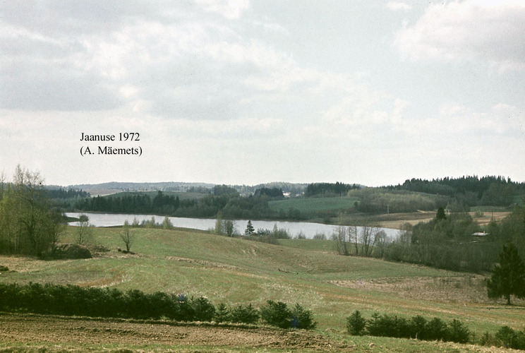 Maakond: Valgamaa Veekogu nimi: Jaanuse järv Pildistamise aeg: 1972 Pildistaja: A. Mäemets Pildistamise koht: teadmata Asimuut: