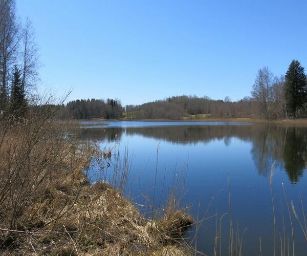 Maakond: Valgamaa Veekogu nimi: Jaanuse järv Pildistamise aeg: 6. mai 2013 Pildistaja: H. Timm Pildistamise koht: teadmata Asimuut: