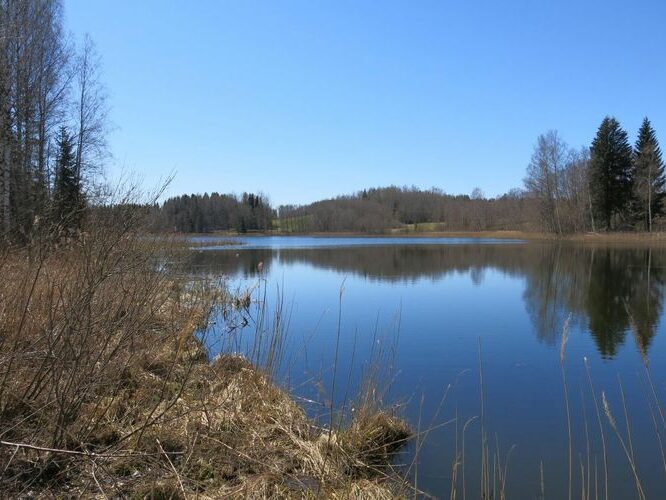 Maakond: Valgamaa Veekogu nimi: Jaanuse järv Pildistamise aeg: 6. mai 2013 Pildistaja: H. Timm Pildistamise koht: teadmata Asimuut: