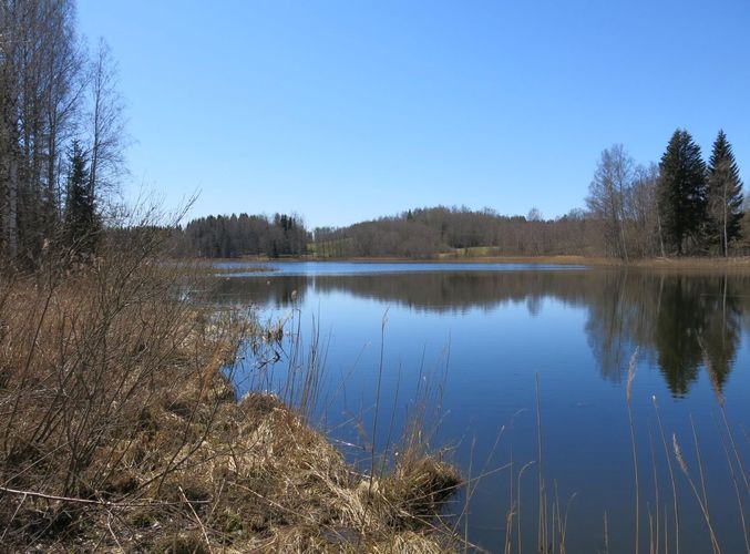 Maakond: Valgamaa Veekogu nimi: Jaanuse järv Pildistamise aeg: 6. mai 2013 Pildistaja: H. Timm Pildistamise koht: teadmata Asimuut: