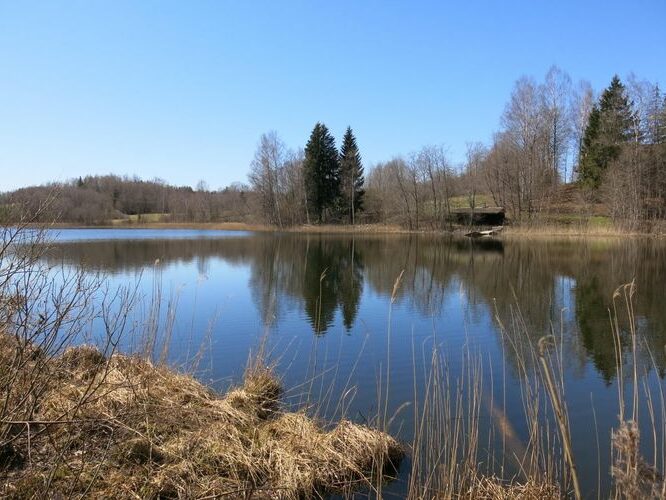 Maakond: Valgamaa Veekogu nimi: Jaanuse järv Pildistamise aeg: 6. mai 2013 Pildistaja: H. Timm Pildistamise koht: teadmata Asimuut: