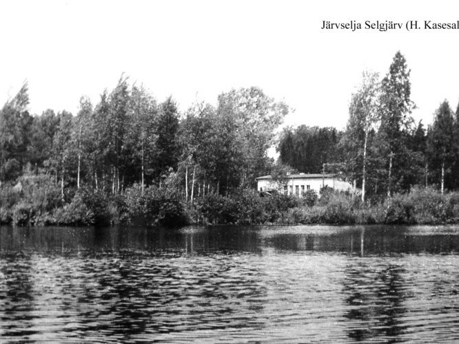 Maakond: Tartumaa Veekogu nimi: Järvselja järv Pildistamise aeg: teadmata Pildistaja: H. Kasesalu (Eesti Looduse arhiiv) Pildistamise koht: teadmata Asimuut: