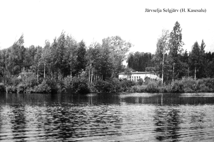 Maakond: Tartumaa Veekogu nimi: Järvselja järv Pildistamise aeg: teadmata Pildistaja: H. Kasesalu (Eesti Looduse arhiiv) Pildistamise koht: teadmata Asimuut: