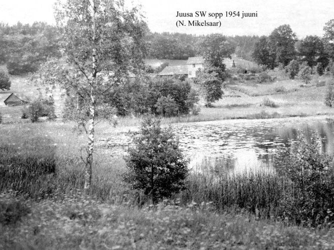 Maakond: Valgamaa Veekogu nimi: Juusa järv Pildistamise aeg: juuni 1954 Pildistaja: N. Mikelsaar Pildistamise koht: S kaldalt SW sopp Asimuut: NNW