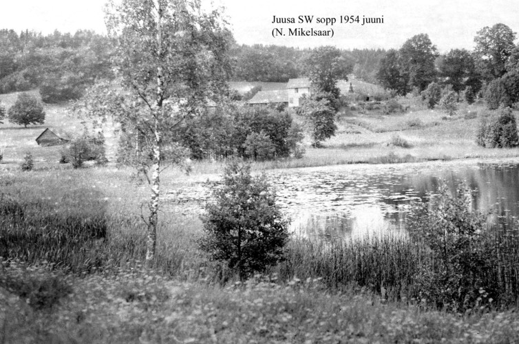 Maakond: Valgamaa Veekogu nimi: Juusa järv Pildistamise aeg: juuni 1954 Pildistaja: N. Mikelsaar Pildistamise koht: S kaldalt SW sopp Asimuut: NNW