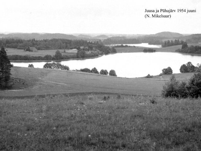 Maakond: Valgamaa Veekogu nimi: Juusa järv Pildistamise aeg: juuni 1954 Pildistaja: N. Mikelsaar Pildistamise koht: W kaldalt, taga P Asimuut: E