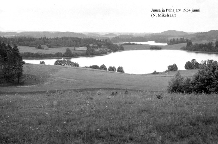 Maakond: Valgamaa Veekogu nimi: Juusa järv Pildistamise aeg: juuni 1954 Pildistaja: N. Mikelsaar Pildistamise koht: W kaldalt, taga P Asimuut: E