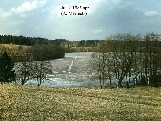 Maakond: Valgamaa Veekogu nimi: Juusa järv Pildistamise aeg: aprill 1986 Pildistaja: A. Mäemets Pildistamise koht: S kaldalt piki W kallast Asimuut: N