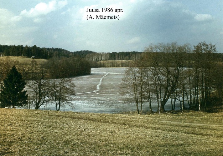 Maakond: Valgamaa Veekogu nimi: Juusa järv Pildistamise aeg: aprill 1986 Pildistaja: A. Mäemets Pildistamise koht: S kaldalt piki W kallast Asimuut: N