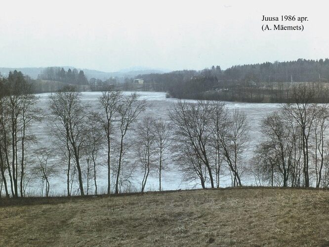 Maakond: Valgamaa Veekogu nimi: Juusa järv Pildistamise aeg: aprill 1986 Pildistaja: A. Mäemets Pildistamise koht: S kaldalt Asimuut: NNE