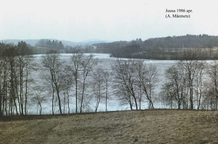 Maakond: Valgamaa Veekogu nimi: Juusa järv Pildistamise aeg: aprill 1986 Pildistaja: A. Mäemets Pildistamise koht: S kaldalt Asimuut: NNE