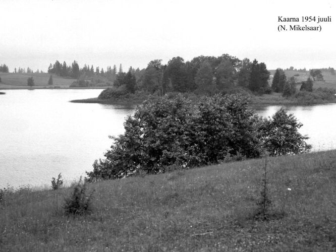 Maakond: Valgamaa Veekogu nimi: Kaarna järv Pildistamise aeg: juuli 1954 Pildistaja: N. Mikelsar Pildistamise koht: teadmata Asimuut: