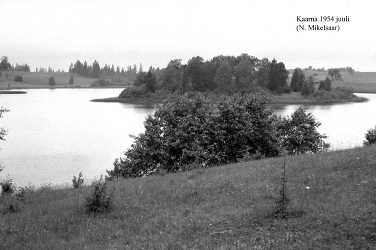 Maakond: Valgamaa Veekogu nimi: Kaarna järv Pildistamise aeg: juuli 1954 Pildistaja: N. Mikelsar Pildistamise koht: teadmata Asimuut: