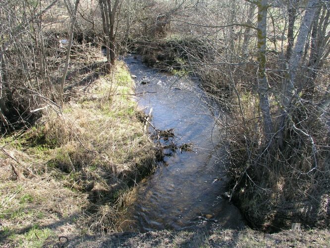 Maakond: Valgamaa Veekogu nimi: Kaarnaoja Pildistamise aeg: 19. aprill 2007 Pildistaja: H. Timm Pildistamise koht: Otepää-Tartu teelt Asimuut: