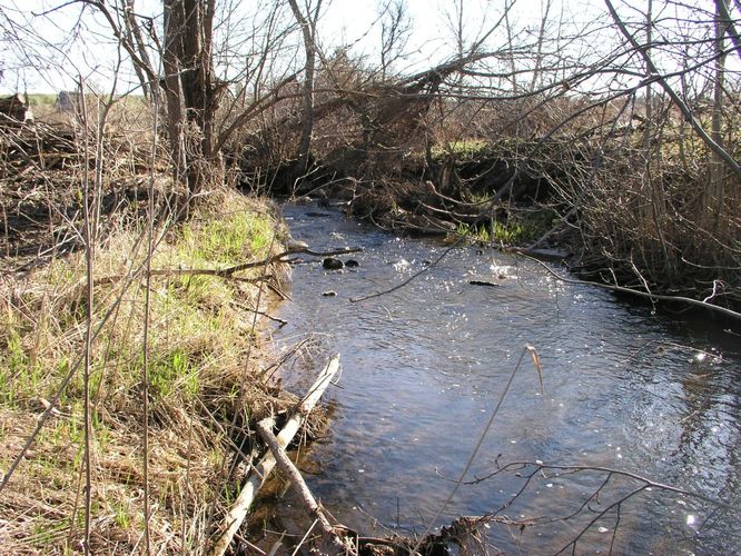 Maakond: Valgamaa Veekogu nimi: Kaarnaoja Pildistamise aeg: 19. aprill 2007 Pildistaja: H. Timm Pildistamise koht: Otepää-Tartu teelt Asimuut: