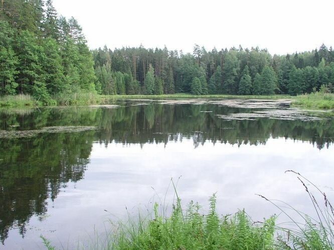 Maakond: Valgamaa Veekogu nimi: Kaatsjärv Pildistamise aeg: 4. august 2006 Pildistaja: H. Timm Pildistamise koht: teadmata Asimuut: