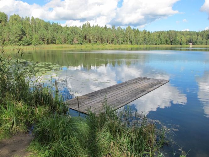 Maakond: Valgamaa Veekogu nimi: Kadajärv Pildistamise aeg: 4. september 2012 Pildistaja: H. Timm Pildistamise koht: teadmata Asimuut: