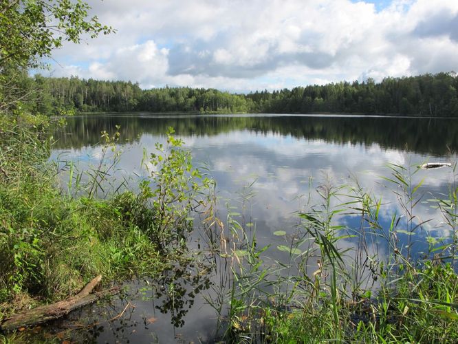 Maakond: Valgamaa Veekogu nimi: Kadastiku järv Pildistamise aeg: 4. september 2012 Pildistaja: H. Timm Pildistamise koht: teadmata Asimuut: