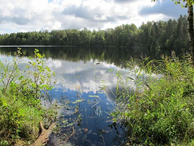 Maakond: Valgamaa Veekogu nimi: Kadastiku järv Pildistamise aeg: 4. september 2012 Pildistaja: H. Timm Pildistamise koht: teadmata Asimuut: