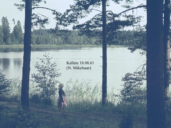 Maakond: Valgamaa Veekogu nimi: Kallete järv Pildistamise aeg: 18. august 1961 Pildistaja: N. Mikelsaar Pildistamise koht: teadmata Asimuut: