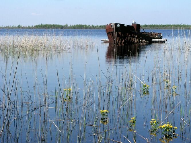 Maakond: Tartumaa Veekogu nimi: Kalli järv Pildistamise aeg: 23. mai 2005 Pildistaja: H. Timm Pildistamise koht: teadmata Asimuut: