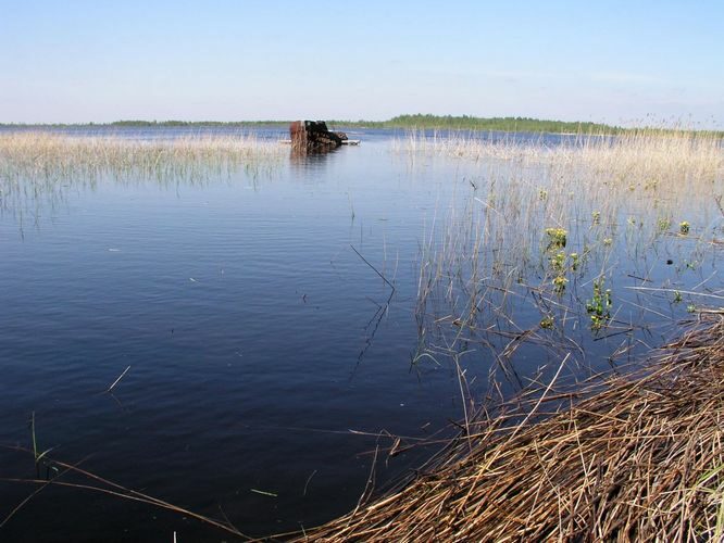 Maakond: Tartumaa Veekogu nimi: Kalli järv Pildistamise aeg: 23. mai 2005 Pildistaja: H. Timm Pildistamise koht: teadmata Asimuut: