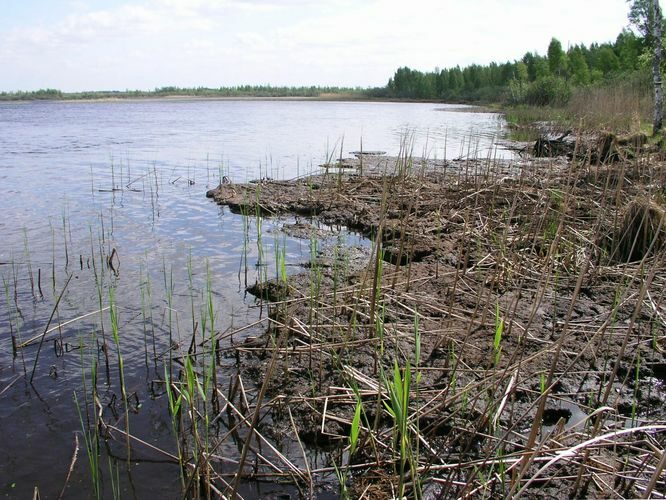 Maakond: Tartumaa Veekogu nimi: Kalli järv Pildistamise aeg: 14. juuli 2006 Pildistaja: H. Timm Pildistamise koht: teadmata Asimuut: