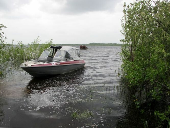 Maakond: Tartumaa Veekogu nimi: Kalli järv Pildistamise aeg: 25. mai 2011 Pildistaja: H. Timm Pildistamise koht: teadmata Asimuut: