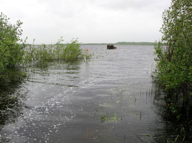 Maakond: Tartumaa Veekogu nimi: Kalli järv Pildistamise aeg: 25. mai 2011 Pildistaja: H. Timm Pildistamise koht: teadmata Asimuut: