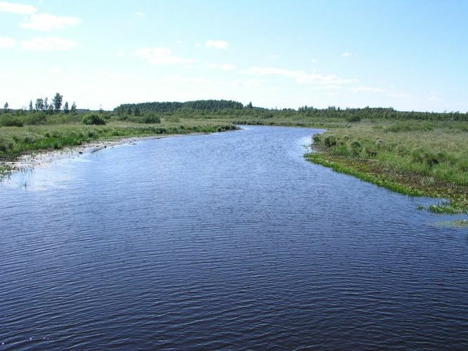 Maakond: Tartumaa Veekogu nimi: Kalli jõgi Pildistamise aeg: 7. august 2006 Pildistaja: H. Timm Pildistamise koht: Ahunapalu - Leegu teel Asimuut: