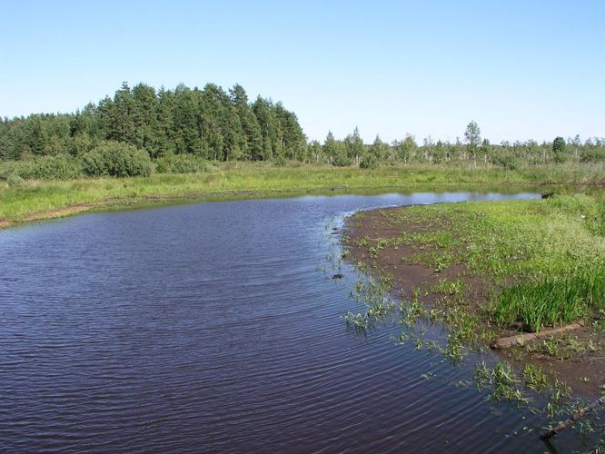 Maakond: Tartumaa Veekogu nimi: Kalli jõgi Pildistamise aeg: 7. august 2006 Pildistaja: H. Timm Pildistamise koht: Ahunapalu - Leegu teel Asimuut: