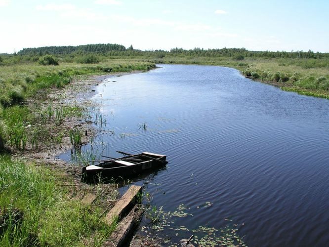 Maakond: Tartumaa Veekogu nimi: Kalli jõgi Pildistamise aeg: 7. august 2006 Pildistaja: H. Timm Pildistamise koht: Ahunapalu - Leegu teel Asimuut: