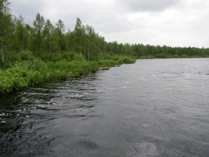 Maakond: Tartumaa Veekogu nimi: Kalli jõgi Pildistamise aeg: 25. mai 2011 Pildistaja: H. Timm Pildistamise koht: teadmata Asimuut: