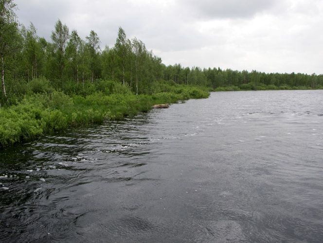 Maakond: Tartumaa Veekogu nimi: Kalli jõgi Pildistamise aeg: 25. mai 2011 Pildistaja: H. Timm Pildistamise koht: teadmata Asimuut: