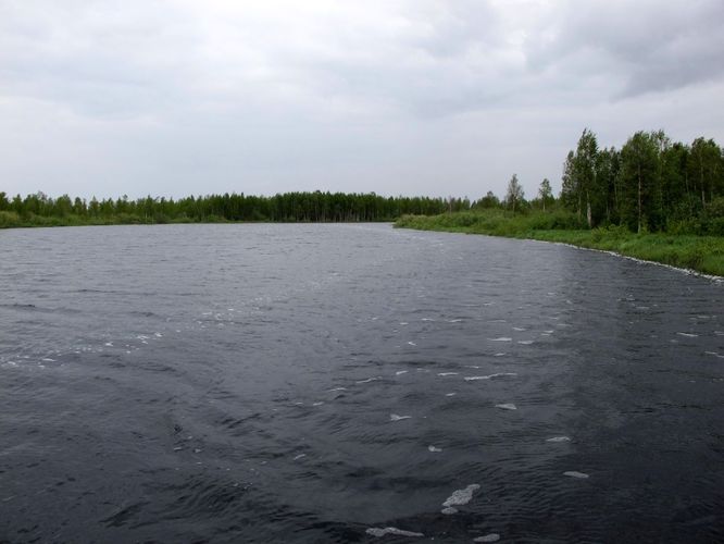 Maakond: Tartumaa Veekogu nimi: Kalli jõgi Pildistamise aeg: 25. mai 2011 Pildistaja: H. Timm Pildistamise koht: teadmata Asimuut: