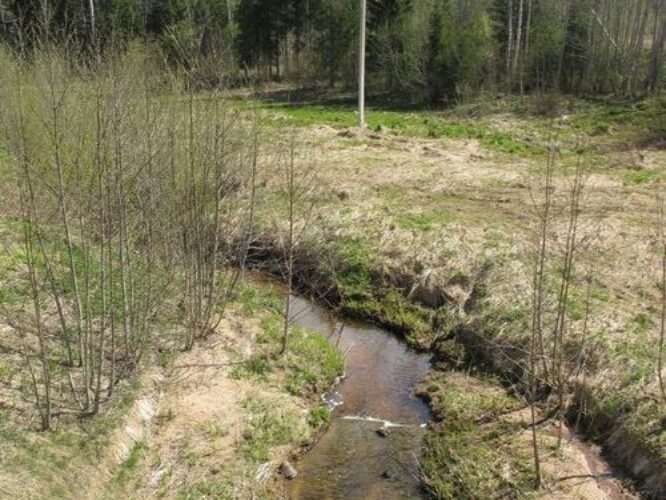 Maakond: Tartumaa Veekogu nimi: Käo-Kingsepa oja Pildistamise aeg: 1. mai 2011 Pildistaja: H. Timm Pildistamise koht: Valga - Tartu tee Asimuut: