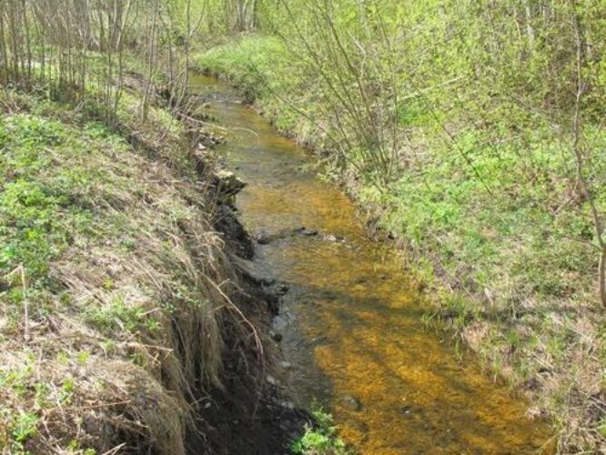 Maakond: Tartumaa Veekogu nimi: Käo-Kingsepa oja Pildistamise aeg: 1. mai 2011 Pildistaja: H. Timm Pildistamise koht: Valga - Tartu tee Asimuut: