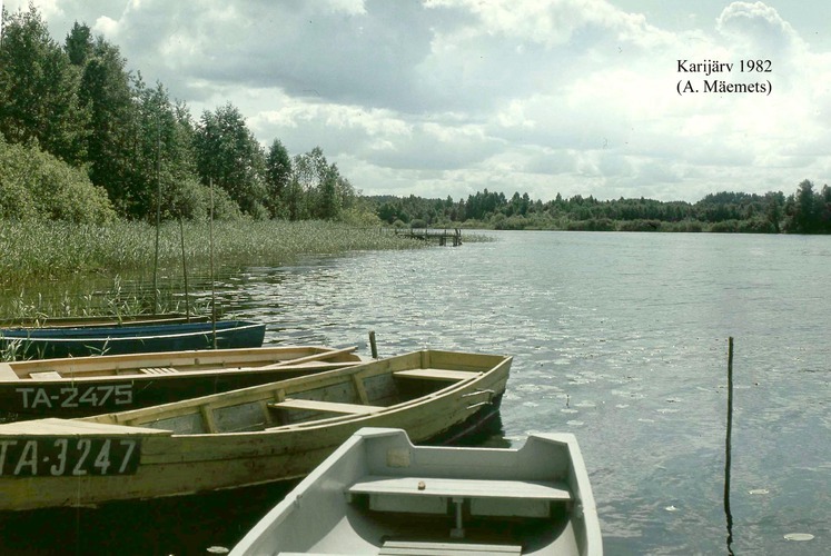 Maakond: Tartumaa Veekogu nimi: Karijärv Pildistamise aeg: 1982 Pildistaja: A. Mäemets Pildistamise koht: teadmata Asimuut: