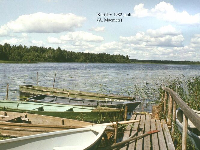 Maakond: Tartumaa Veekogu nimi: Karijärv Pildistamise aeg: juuli 1982 Pildistaja: A. Mäemets Pildistamise koht: teadmata Asimuut: