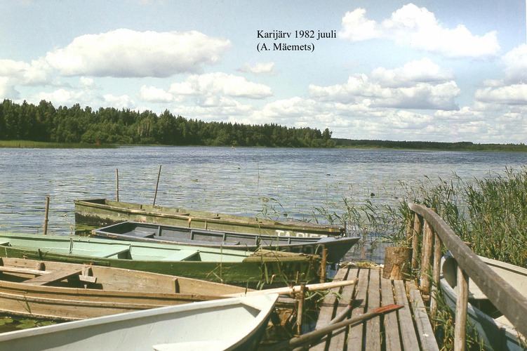 Maakond: Tartumaa Veekogu nimi: Karijärv Pildistamise aeg: juuli 1982 Pildistaja: A. Mäemets Pildistamise koht: teadmata Asimuut: