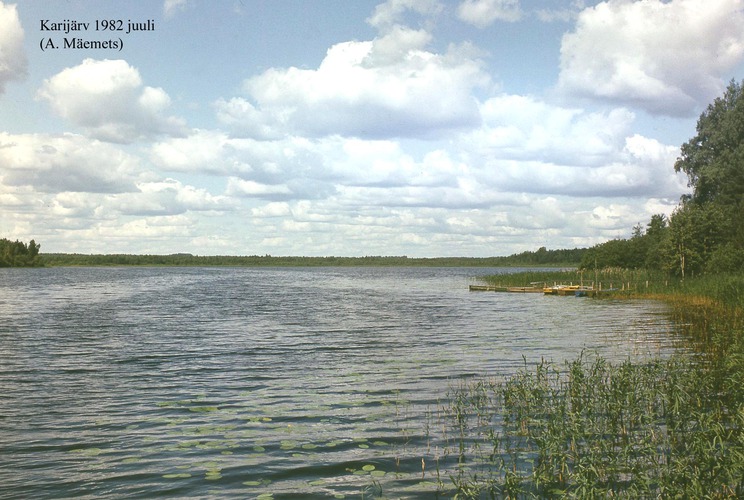 Maakond: Tartumaa Veekogu nimi: Karijärv Pildistamise aeg: juuli 1982 Pildistaja: A. Mäemets Pildistamise koht: SE kallas Asimuut: NW