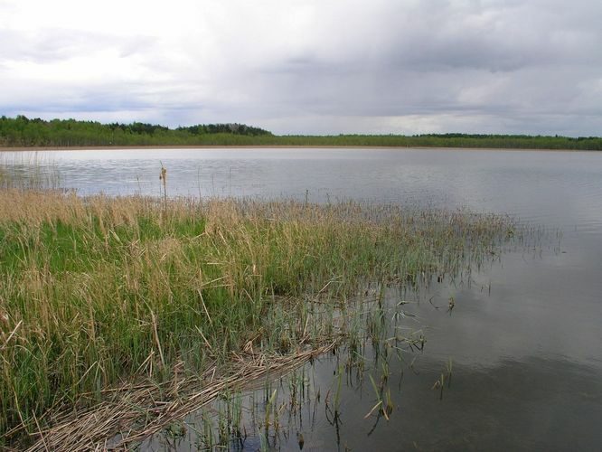 Maakond: Tartumaa Veekogu nimi: Karijärv Pildistamise aeg: 7. mai 2008 Pildistaja: H. Timm Pildistamise koht: teadmata Asimuut: