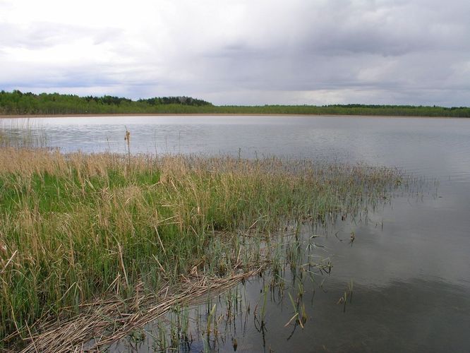 Maakond: Tartumaa Veekogu nimi: Karijärv Pildistamise aeg: 7. mai 2008 Pildistaja: H. Timm Pildistamise koht: teadmata Asimuut: