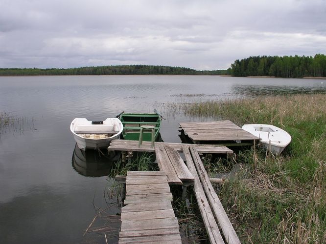 Maakond: Tartumaa Veekogu nimi: Karijärv Pildistamise aeg: 7. mai 2008 Pildistaja: H. Timm Pildistamise koht: teadmata Asimuut: