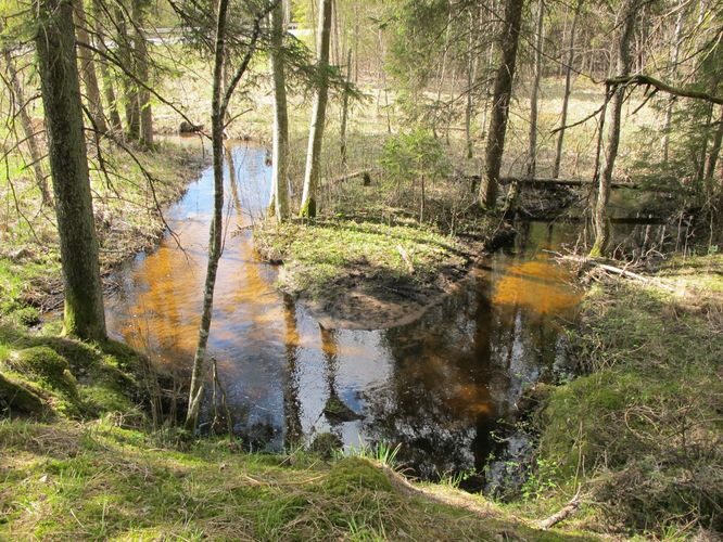 Maakond: Valgamaa Veekogu nimi: Karjamõisa oja Pildistamise aeg: 1. mai 2011 Pildistaja: H. Timm Pildistamise koht: Otepää - Rõngu tee Asimuut:Maakond: Valgamaa Veekogu nimi: Karjamõisa oja Pildistamise aeg: 1. mai 2011 Pildistaja: H. Timm Pildistamise koht: Otepää - Rõngu tee Asimuut: