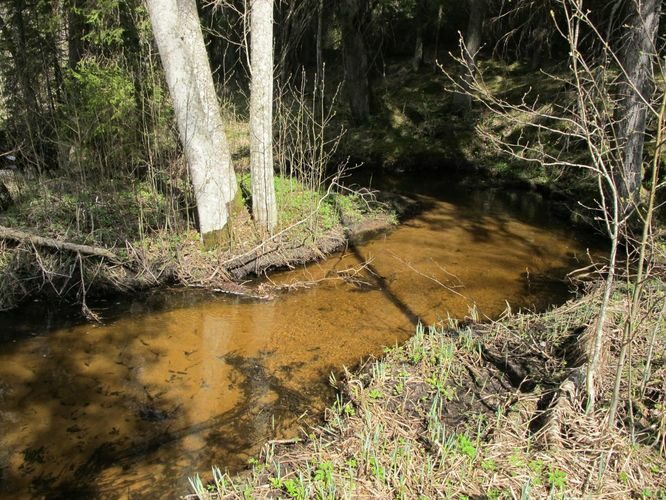 Maakond: Valgamaa Veekogu nimi: Karjamõisa oja Pildistamise aeg: 1. mai 2011 Pildistaja: H. Timm Pildistamise koht: Otepää - Rõngu tee Asimuut: