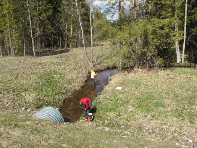 Maakond: Valgamaa Veekogu nimi: Karjamõisa oja Pildistamise aeg: 1. mai 2011 Pildistaja: H. Timm Pildistamise koht: Otepää - Rõngu tee Asimuut: