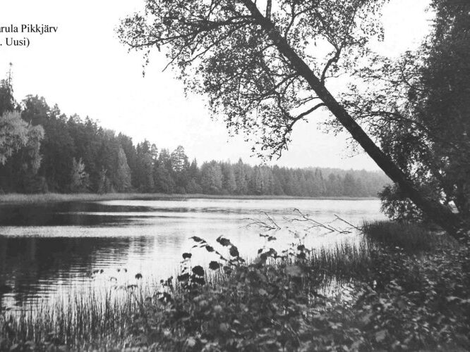 Maakond: Valgamaa Veekogu nimi: Karula Pikkjärv Pildistamise aeg: teadmata Pildistaja: H. Uusi (Eesti Looduse arhiiv) Pildistamise koht: teadmata Asimuut: