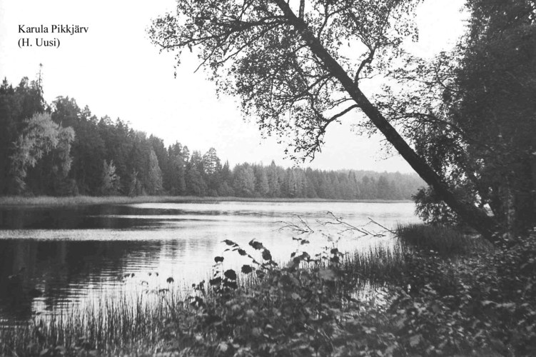 Maakond: Valgamaa Veekogu nimi: Karula Pikkjärv Pildistamise aeg: teadmata Pildistaja: H. Uusi (Eesti Looduse arhiiv) Pildistamise koht: teadmata Asimuut: