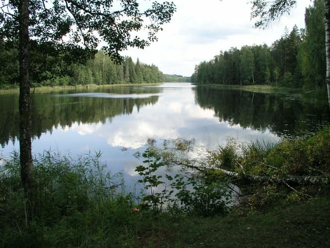 Maakond: Valgamaa Veekogu nimi: Karula Pikkjärv Pildistamise aeg: august 2006 Pildistaja: H. Timm Pildistamise koht: teadmata Asimuut: